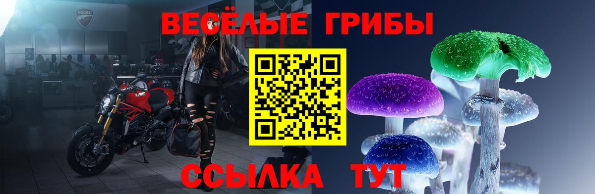 Псилоцибиновые грибы прущие грибы  Псилоцибиновые грибы Magic Shrooms  Вход с VPN  Солнечногорск 